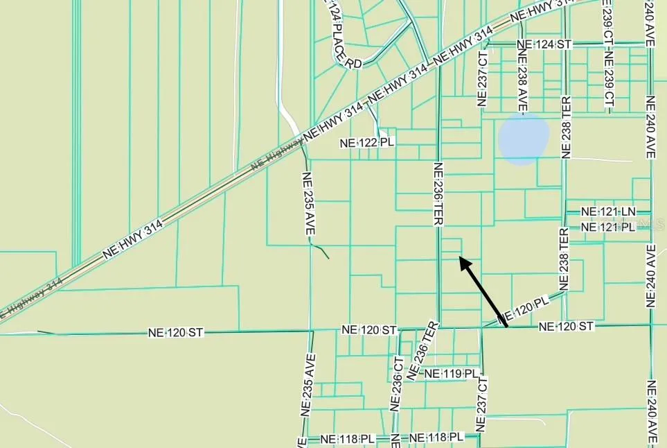 TBD NE 236 TERRACE Fort Mc Coy, FL 32134