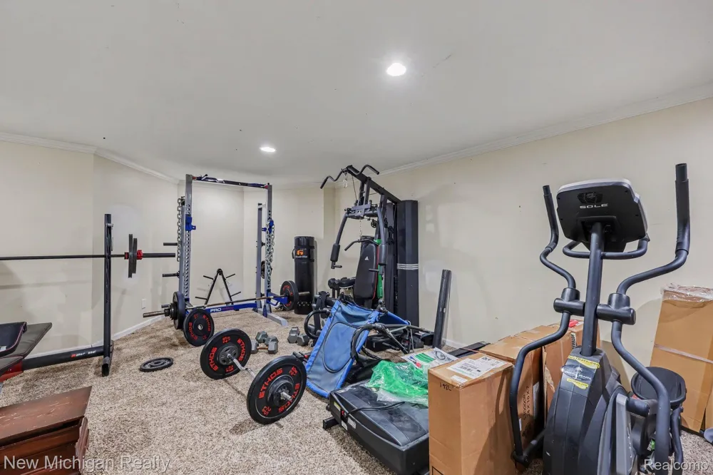 3812 Finch Drive Troy City, MI 48084