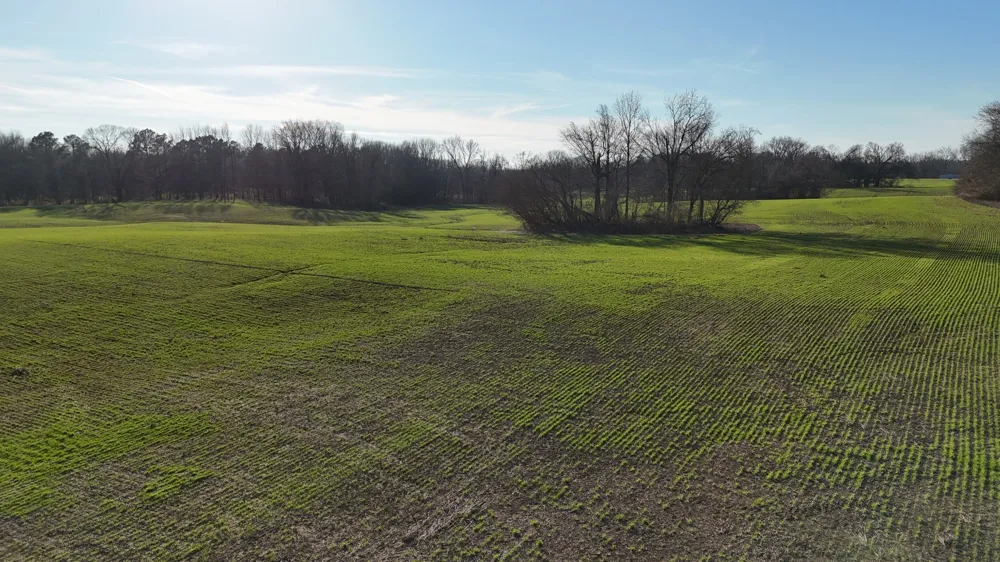 0 Chambers Rd Millington, TN 38053