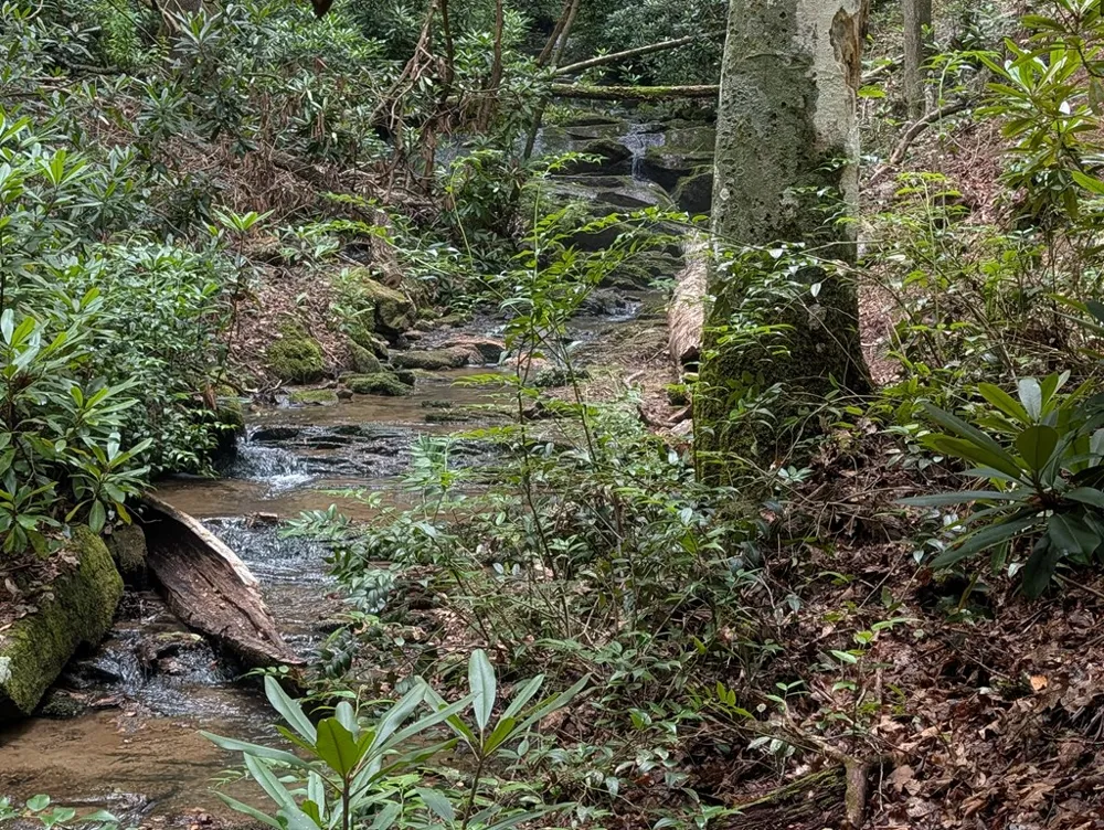1&2 Water View Lane Hayesville, NC 28904