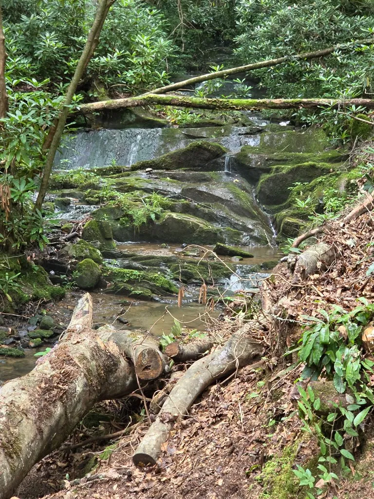1&2 Water View Lane Hayesville, NC 28904