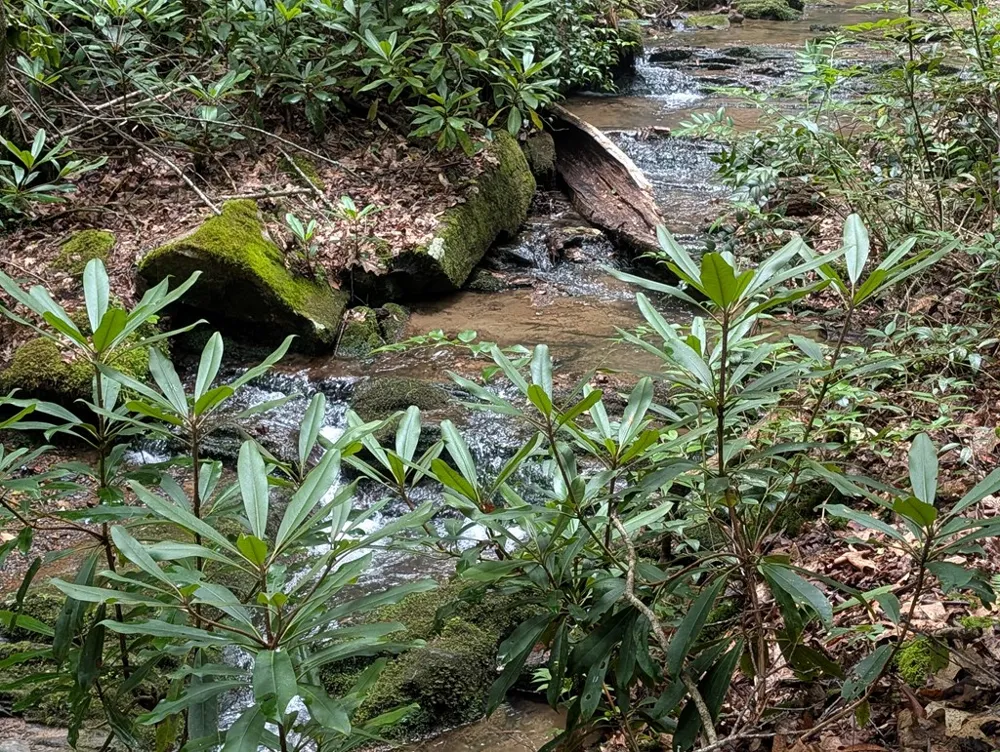1&2 Water View Lane Hayesville, NC 28904