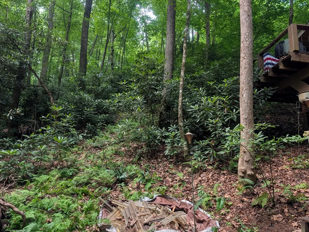1&2 Water View Lane Hayesville, NC 28904
