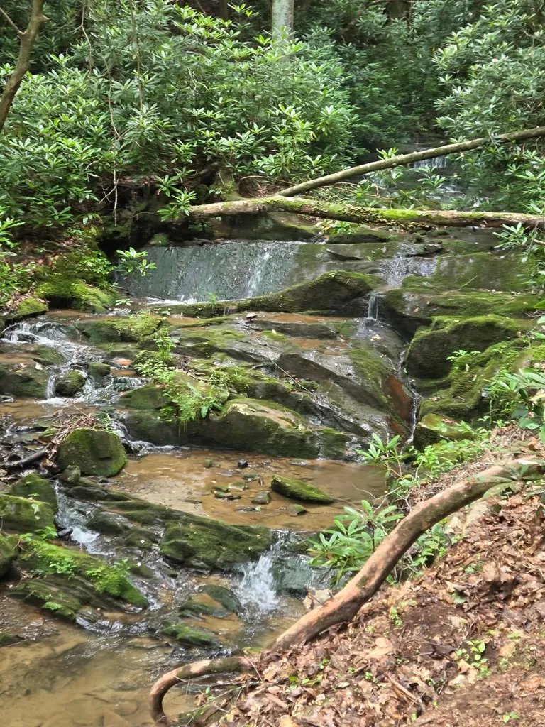 1&2 Water View Lane Hayesville, NC 28904