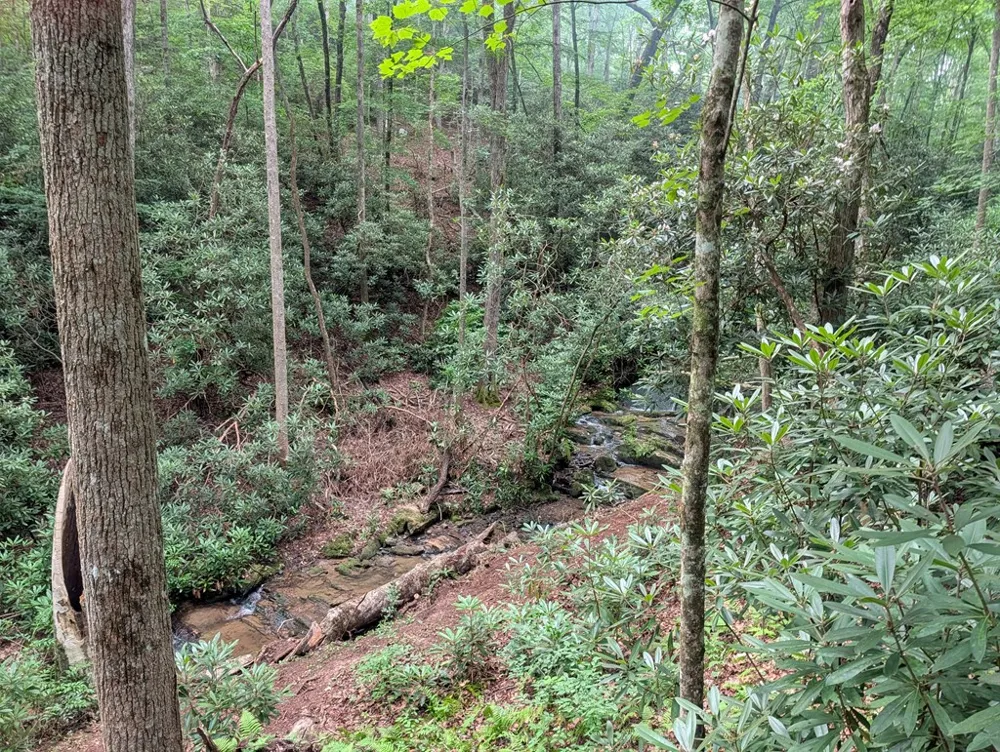 1&2 Water View Lane Hayesville, NC 28904