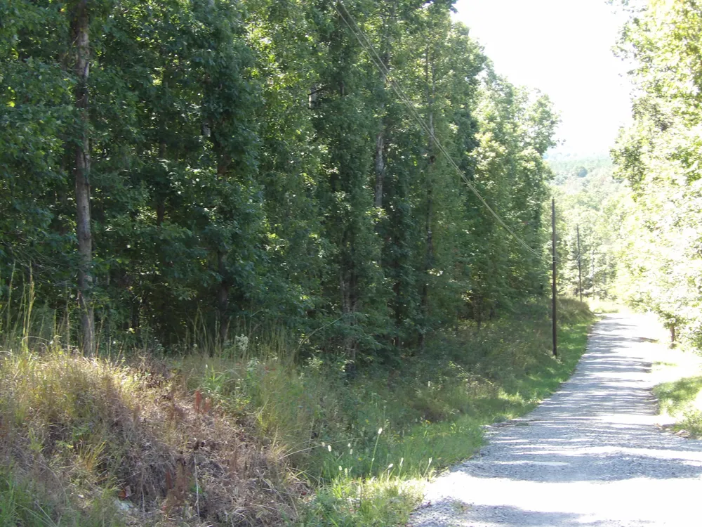 10 Summer City Road Evensville, TN 37332