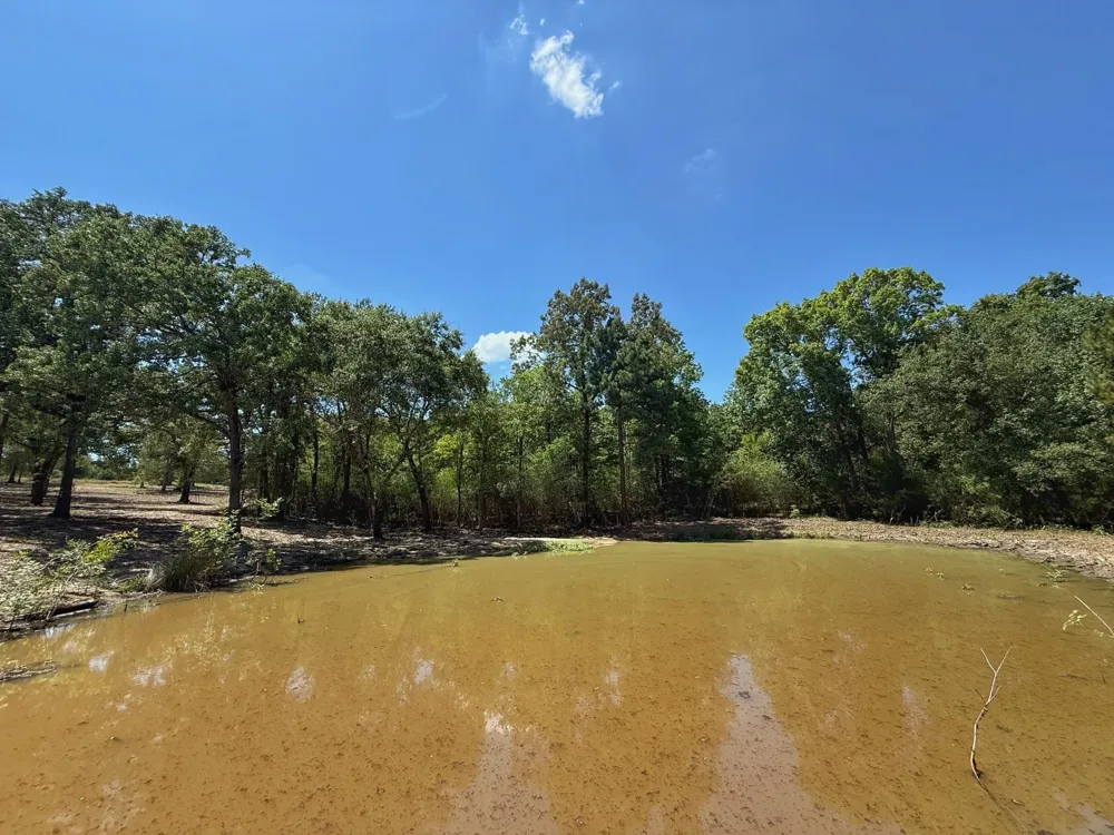Pr 1440 Centerville, TX 75833