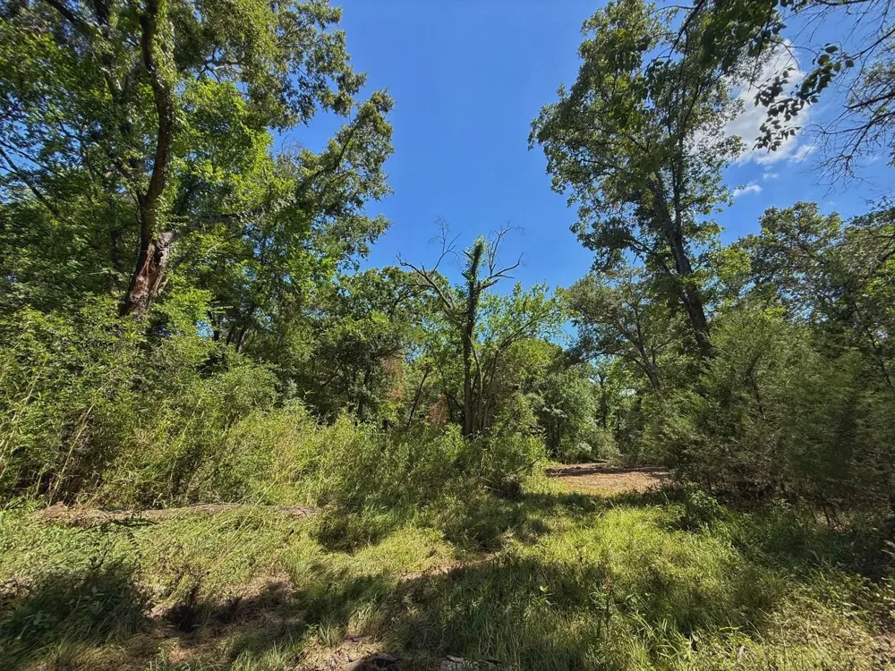Pr 1440 Centerville, TX 75833