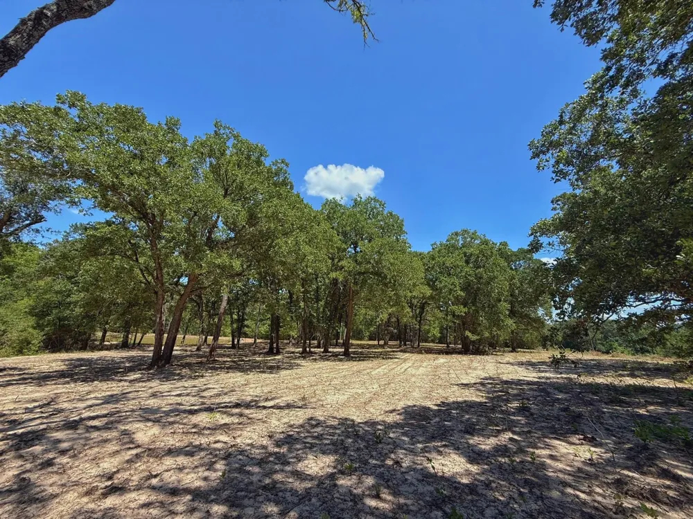 Pr 1440 Centerville, TX 75833
