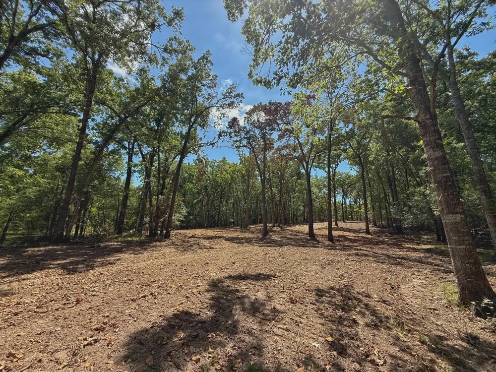 Pr 1440 Centerville, TX 75833