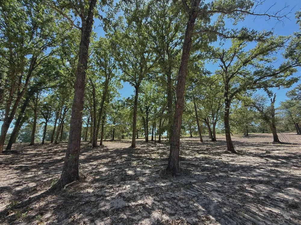 Pr 1440 Centerville, TX 75833