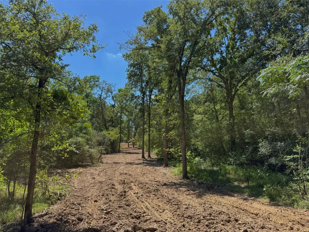 Pr 1440 Centerville, TX 75833