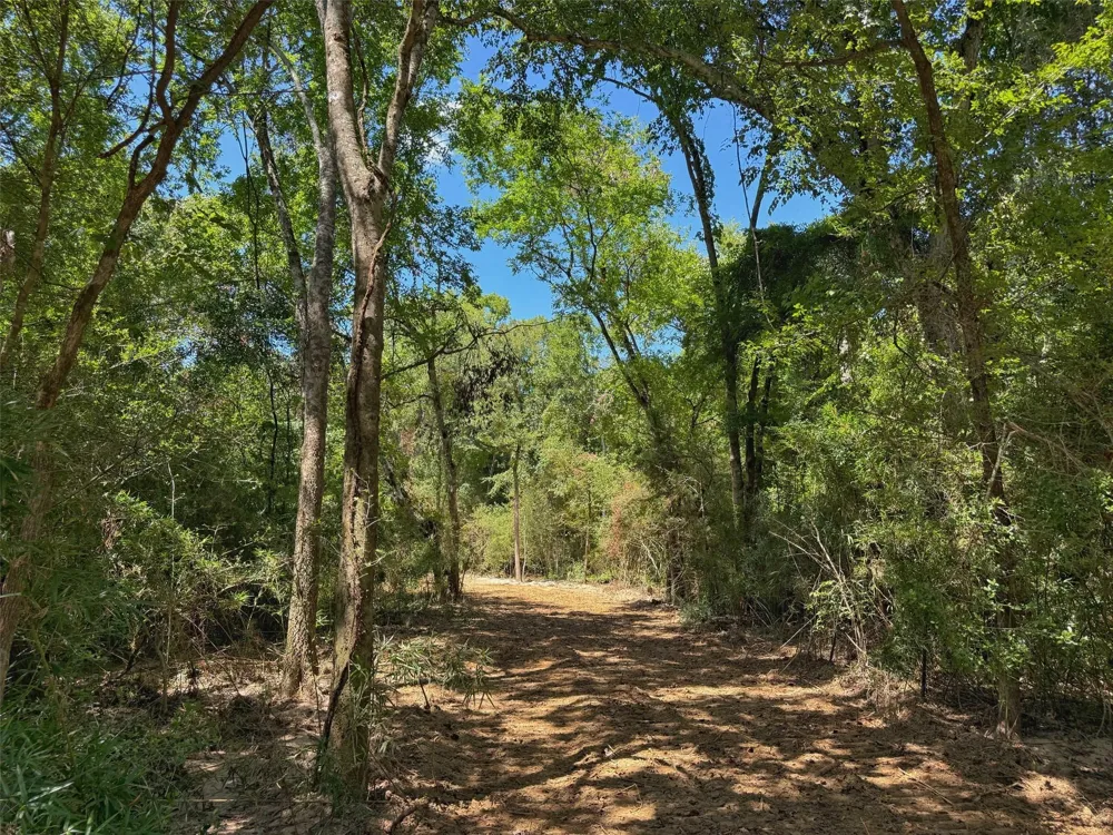 Pr 1440 Centerville, TX 75833