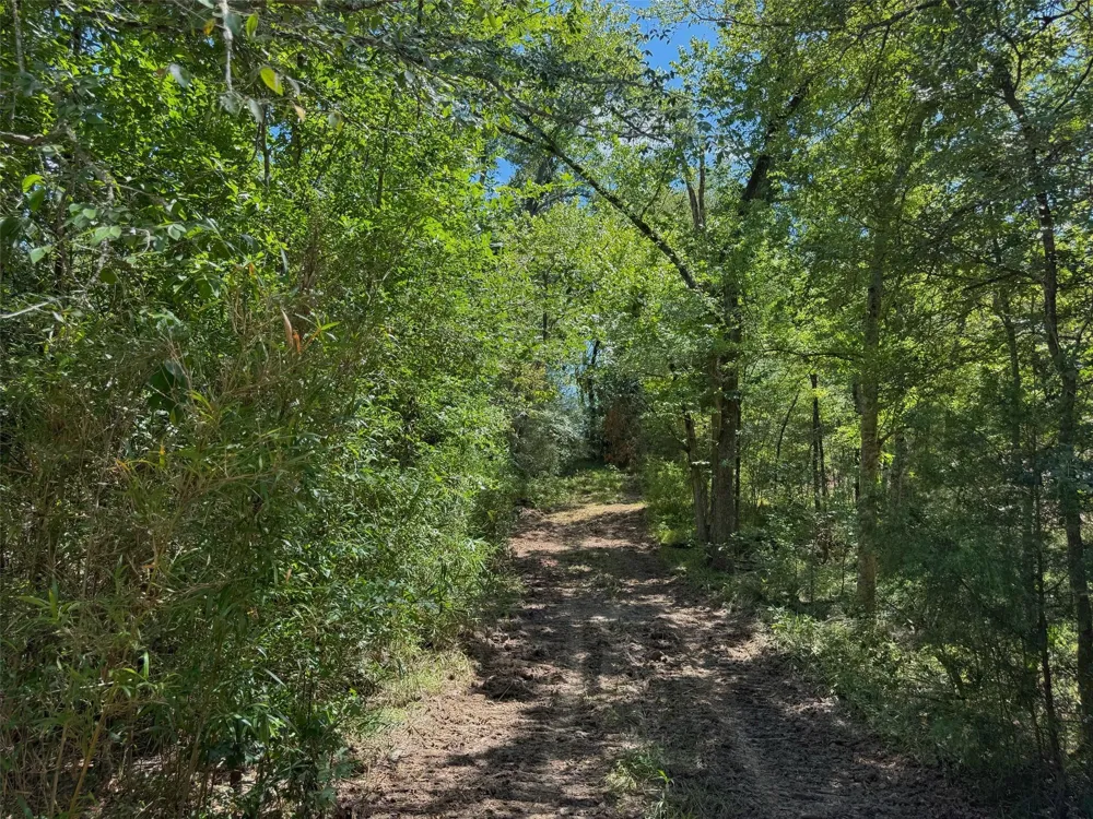 Pr 1440 Centerville, TX 75833
