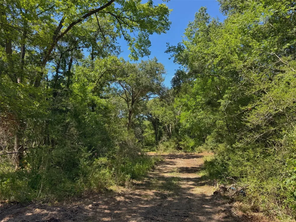 Pr 1440 Centerville, TX 75833