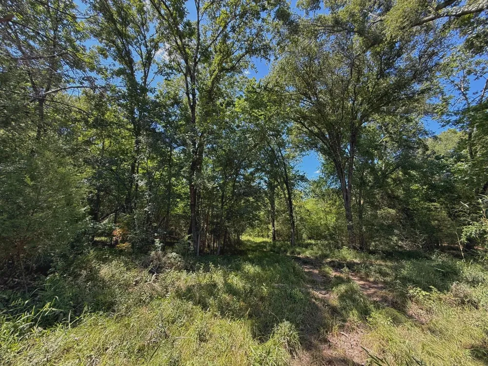 Pr 1440 Centerville, TX 75833