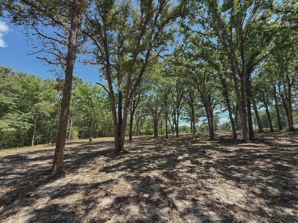 Pr 1440 Centerville, TX 75833
