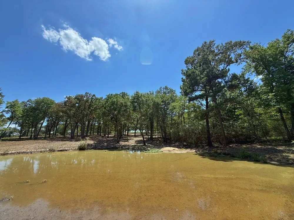 Pr 1440 Centerville, TX 75833