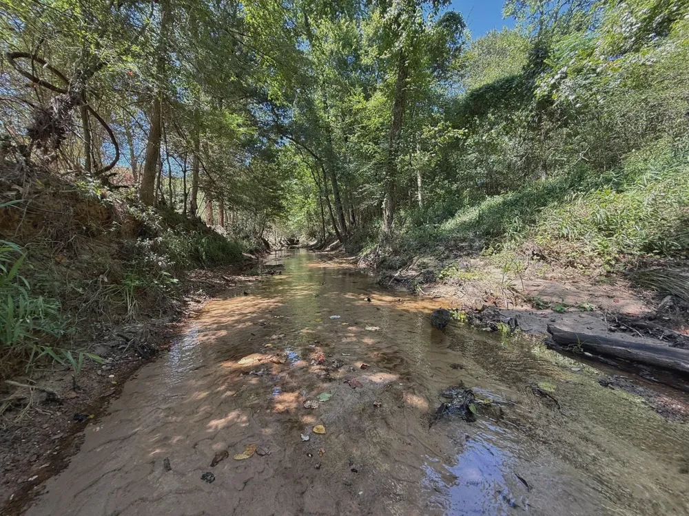Pr 1440 Centerville, TX 75833