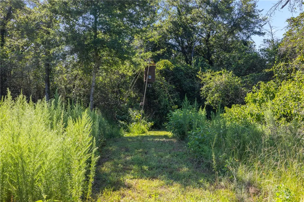 16135 Wilson Pasture Road Bryan, TX 77808