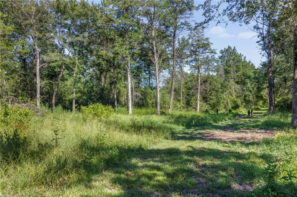 16135 Wilson Pasture Road Bryan, TX 77808