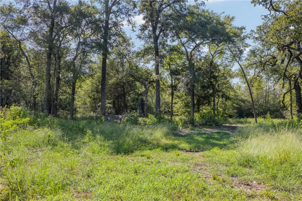 16135 Wilson Pasture Road Bryan, TX 77808