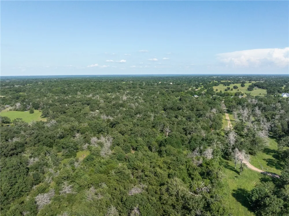 16135 Wilson Pasture Road Bryan, TX 77808
