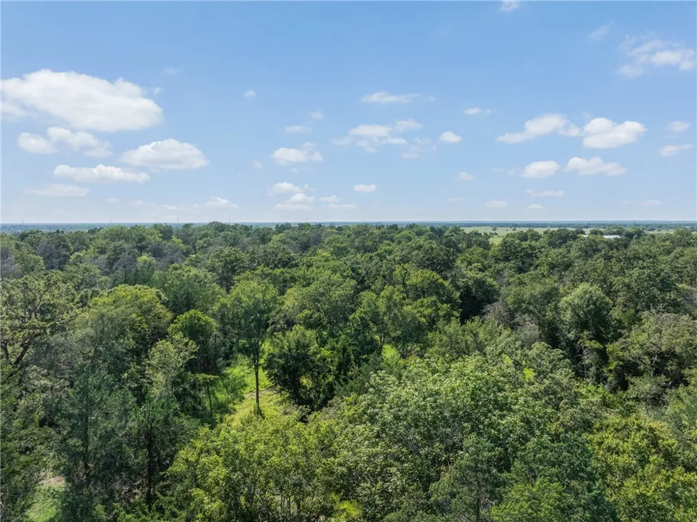 16135 Wilson Pasture Road Bryan, TX 77808