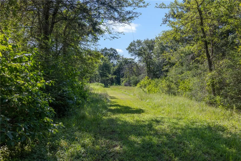 16135 Wilson Pasture Road Bryan, TX 77808