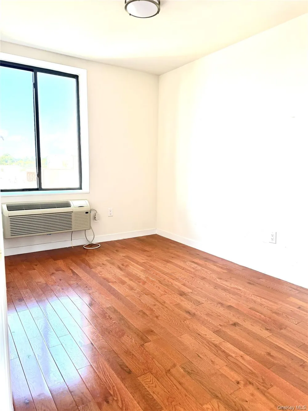 4102 8th Avenue #6A Brooklyn, NY 11232