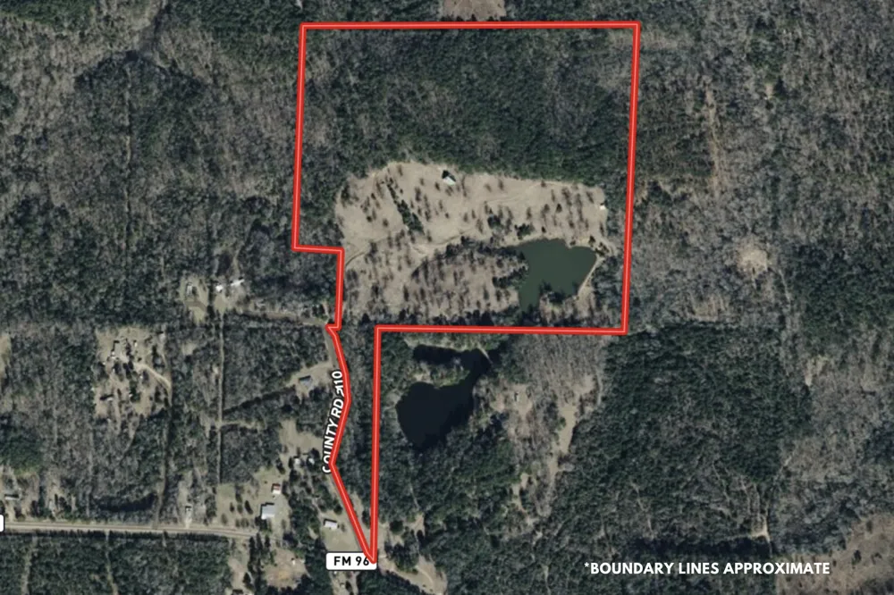 252 County Road 2110 Atlanta, TX 75551