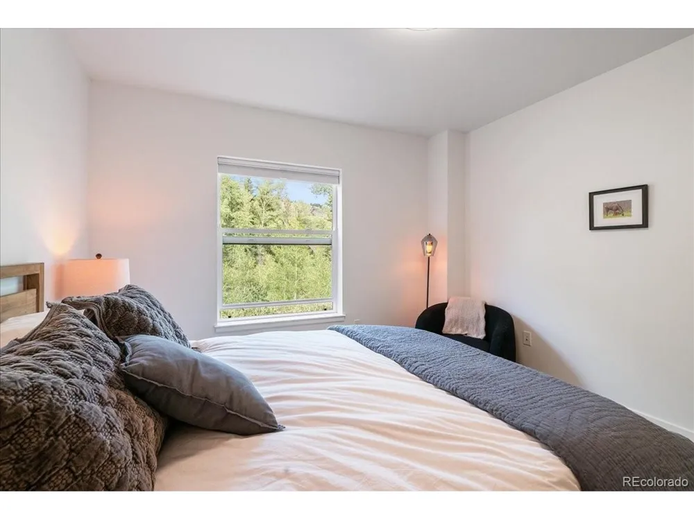 1044 Blue River Parkway #C-C207 Silverthorne, CO 80498
