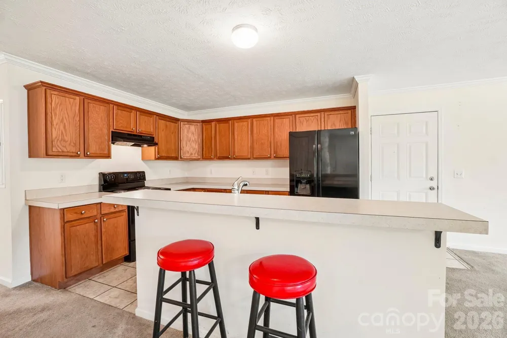 119 E Meadow Lane Horse Shoe, NC 28742