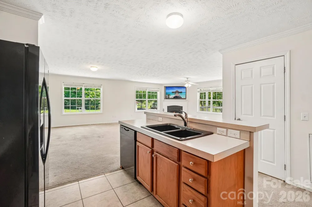119 E Meadow Lane Horse Shoe, NC 28742