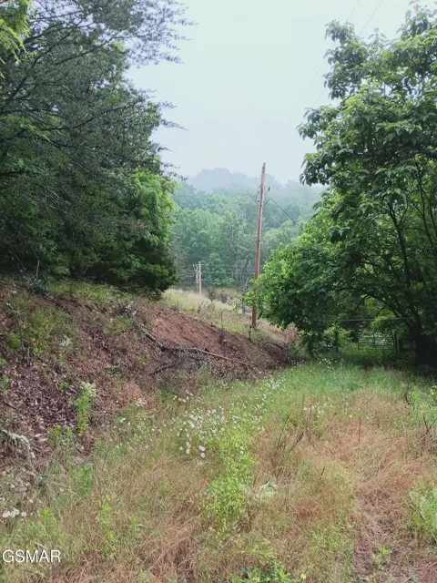 0 Highway 31