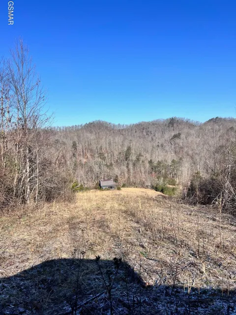 1581 Lower Caney Valley Road