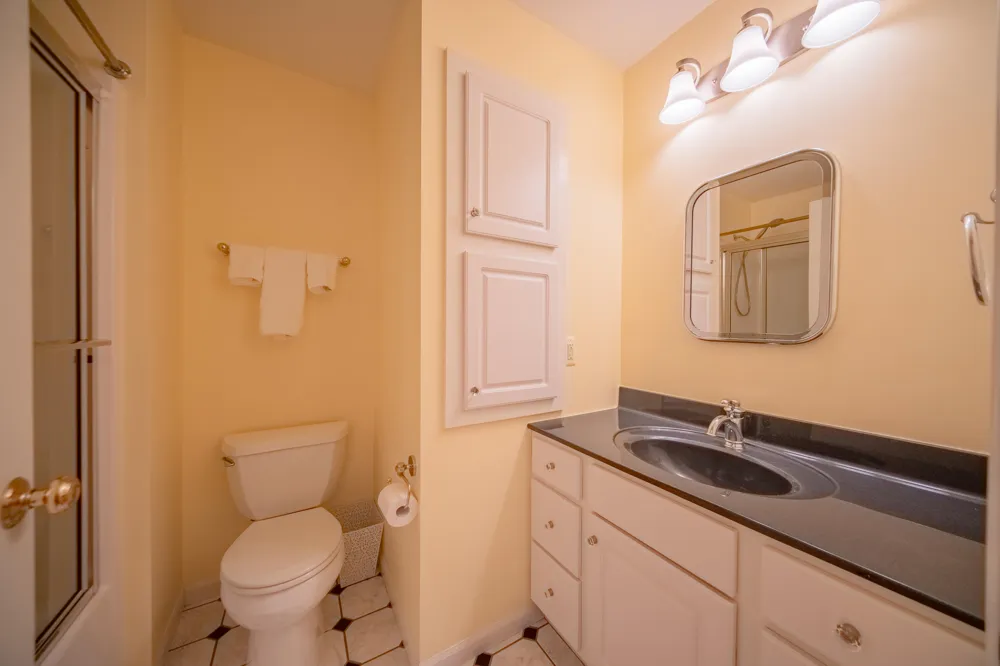 380 Wild Fox Court Scio Township, MI 48103