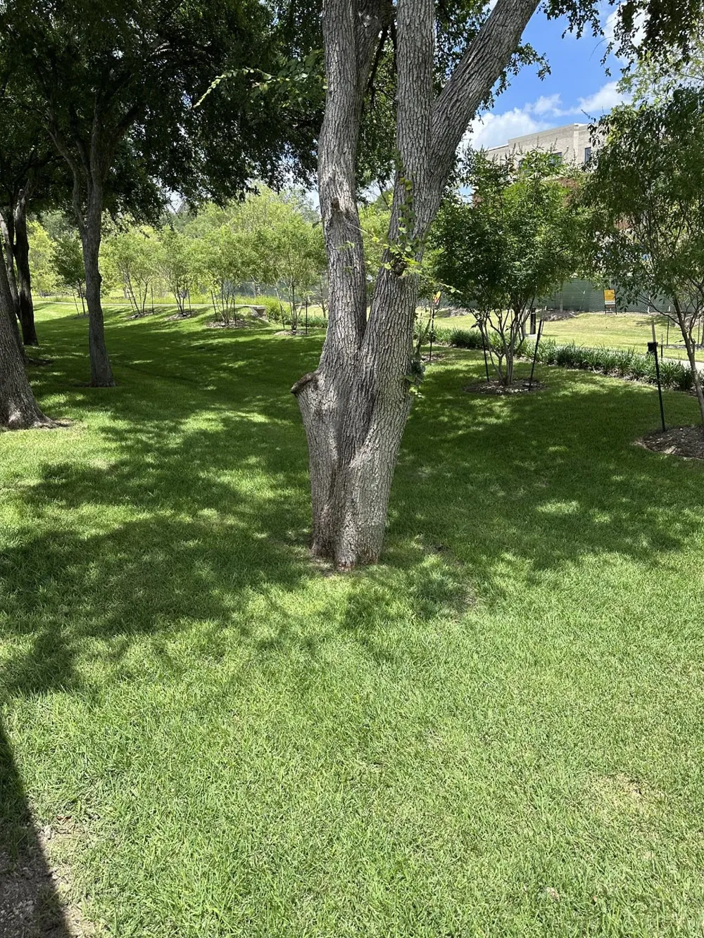 4114 Leadville Place Addison, TX 75001