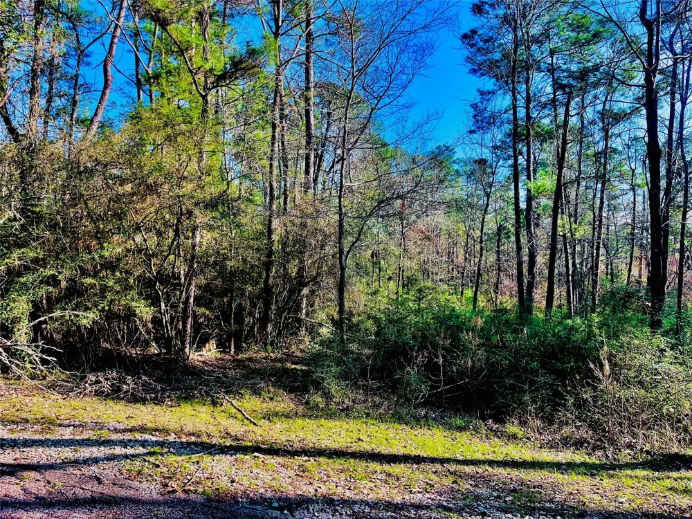 23 Wentworth Ln Coldspring, TX 77331