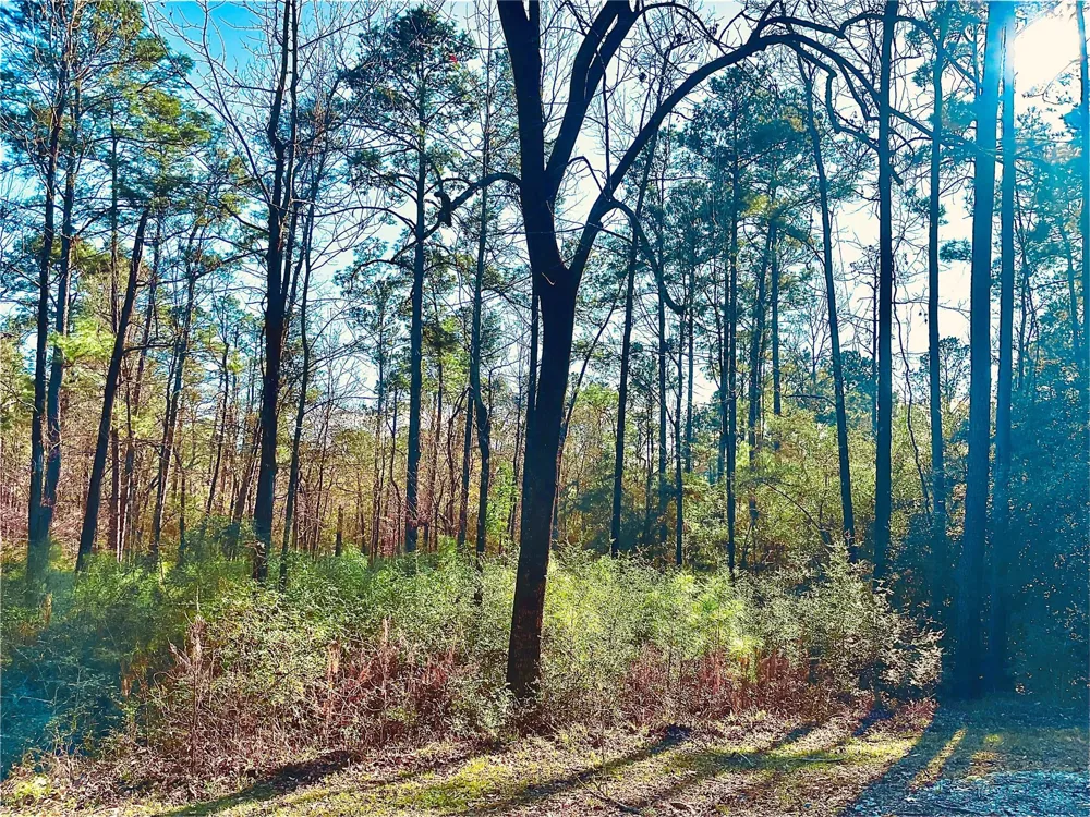 23 Wentworth Ln Coldspring, TX 77331
