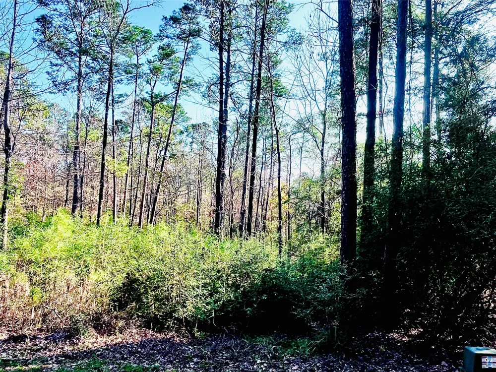 23 Wentworth Ln Coldspring, TX 77331