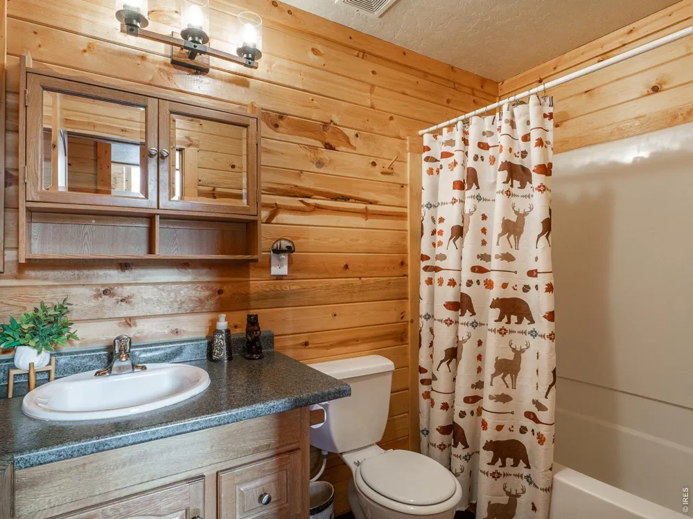 62 Algonkin Court Red Feather Lakes, CO 80545