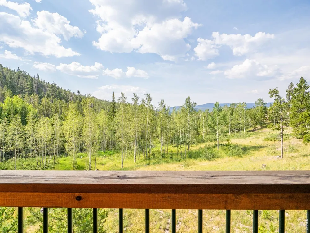 62 Algonkin Court Red Feather Lakes, CO 80545