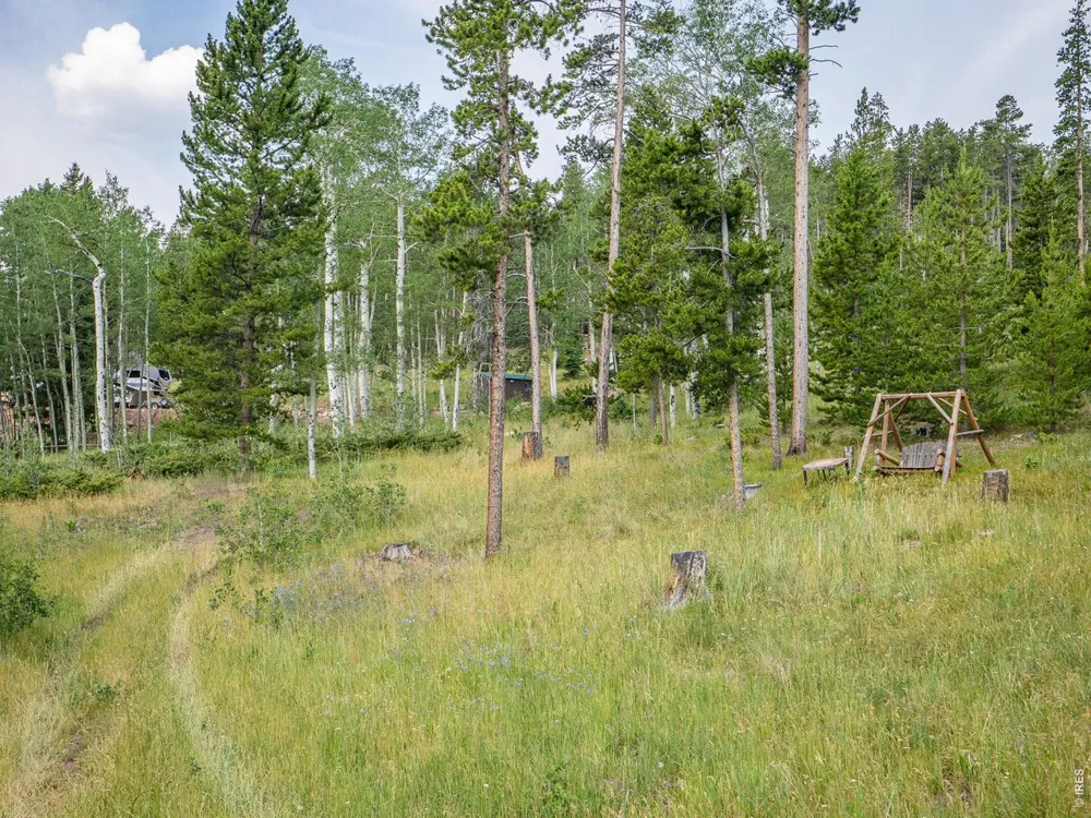 62 Algonkin Court Red Feather Lakes, CO 80545