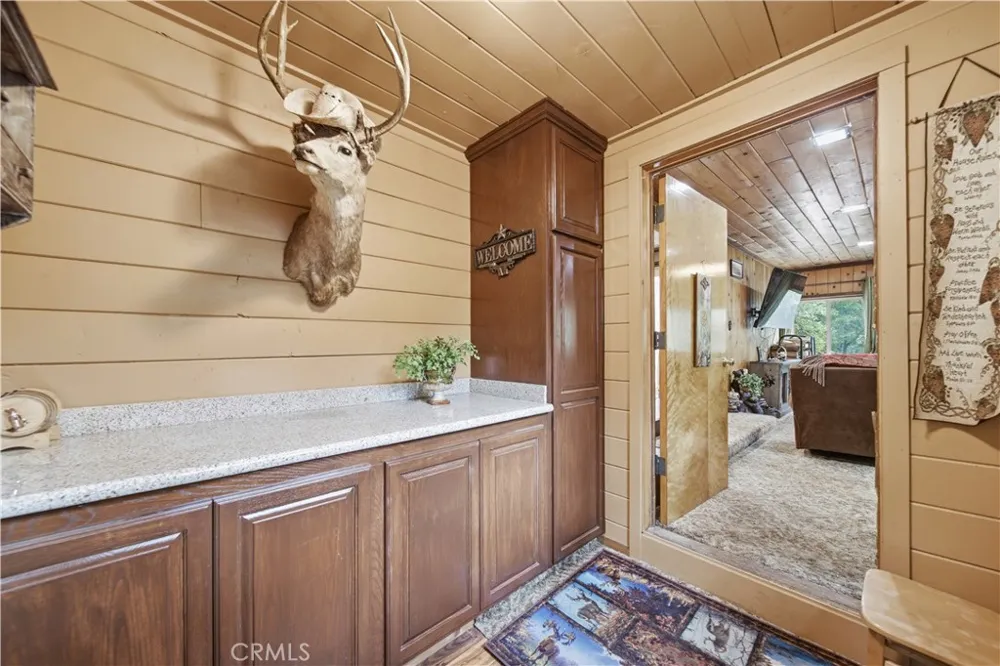 9160 Coffey Forest Falls, CA 92339