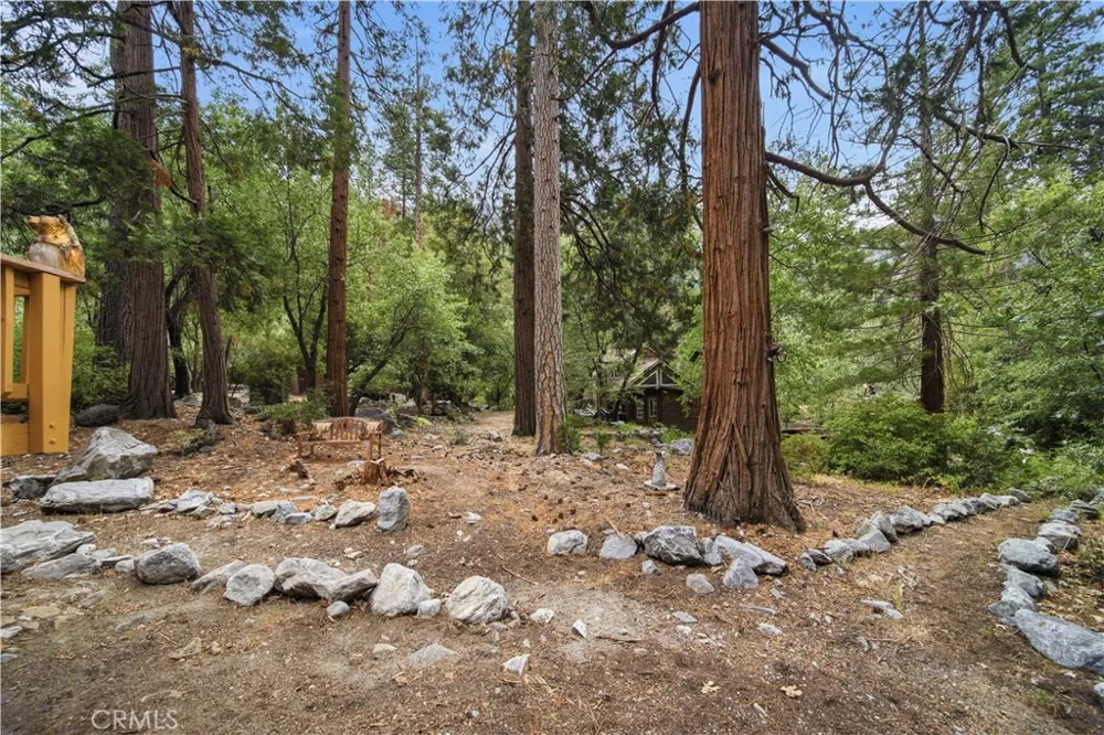 9160 Coffey Forest Falls, CA 92339