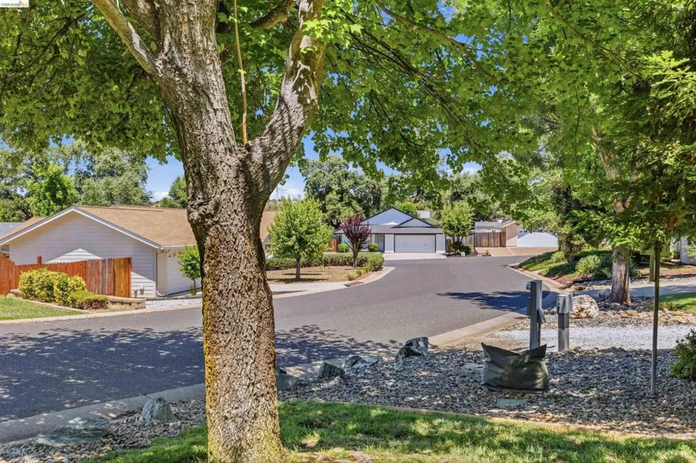 10597 River oak Jamestown, CA 95327