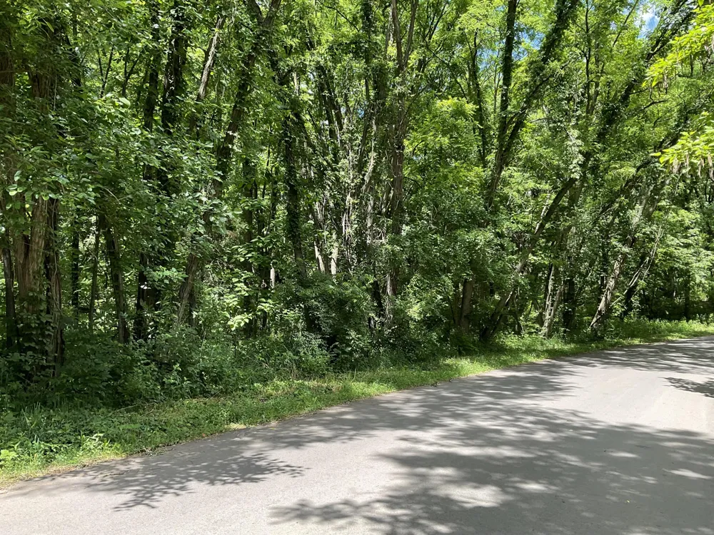 North Drive Brooklyn, MI 49230