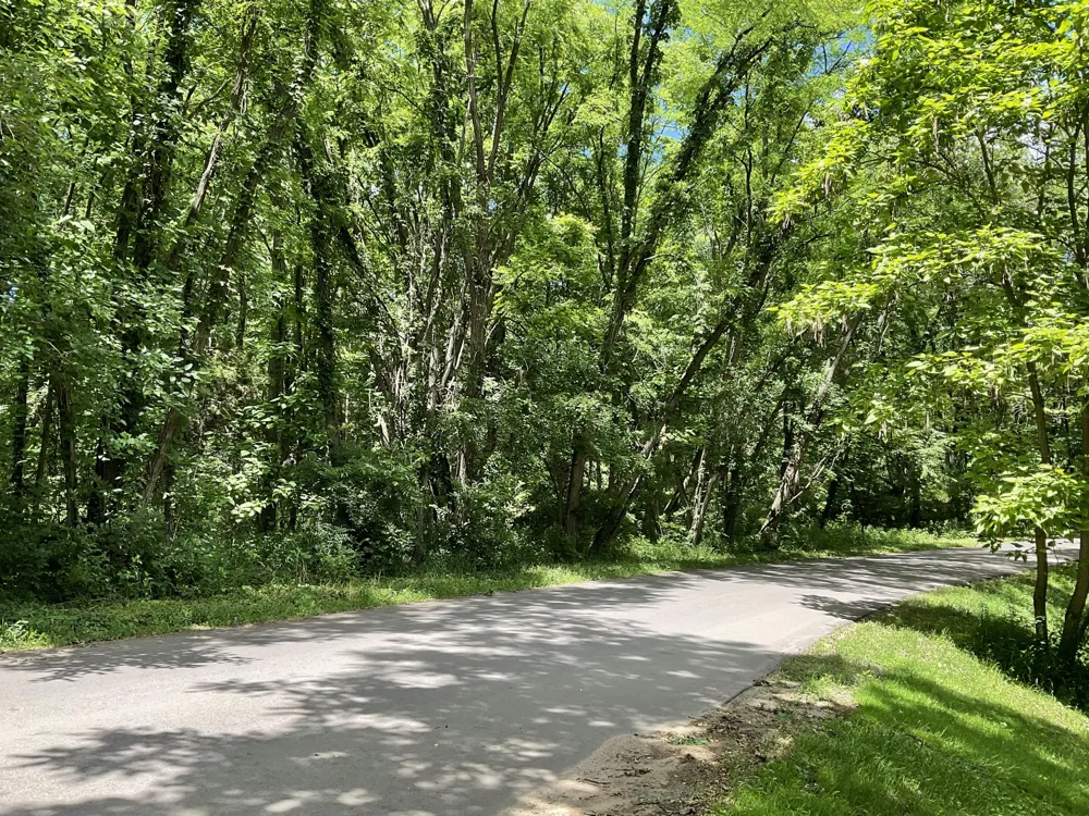 North Drive Brooklyn, MI 49230