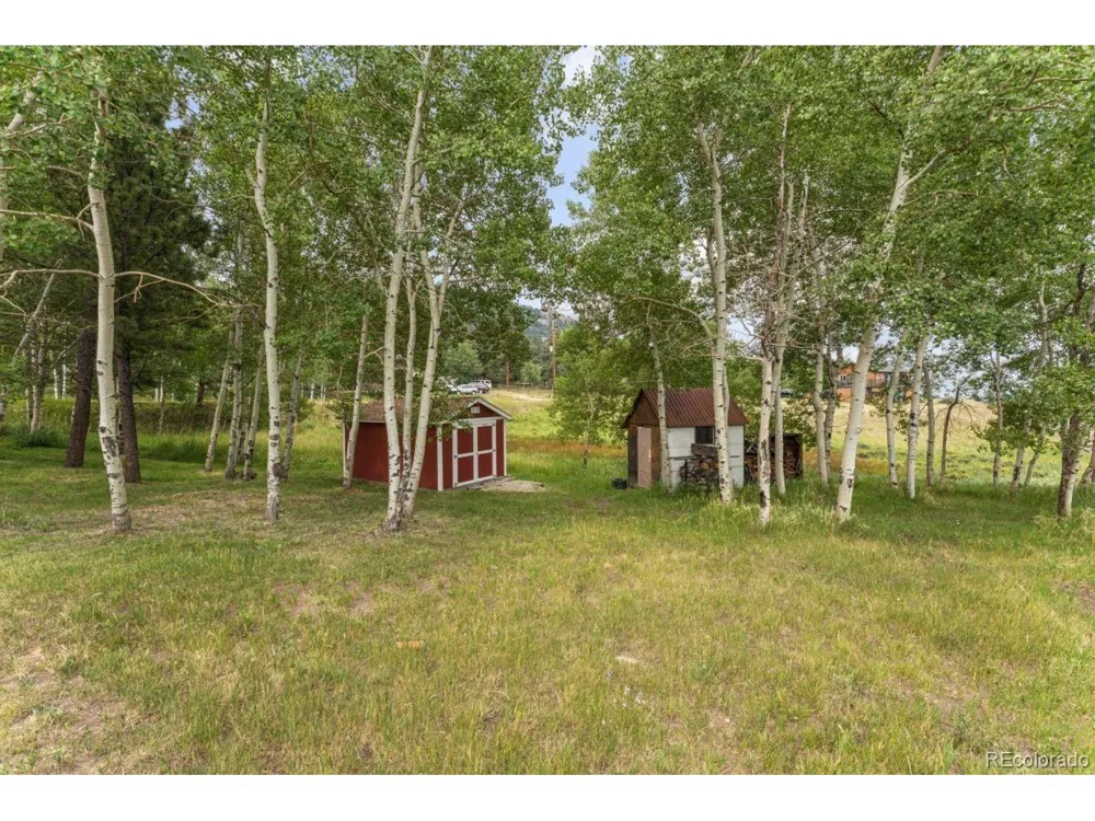 26292 Vosler Street Conifer, CO 80433